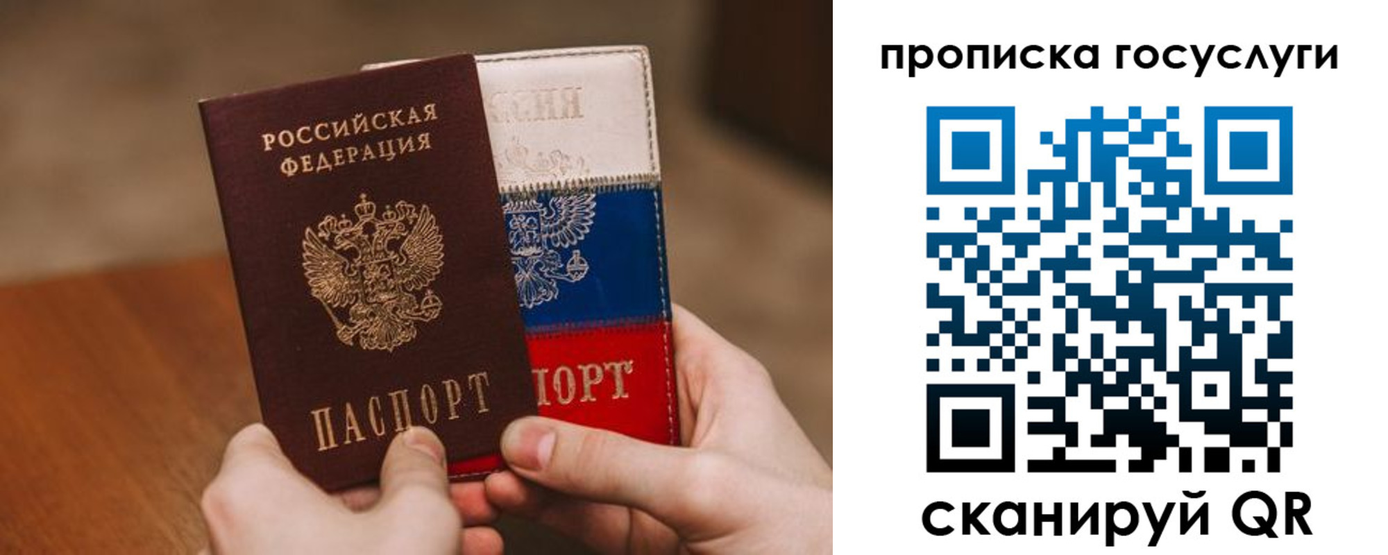 прописка штамп в Пионерском